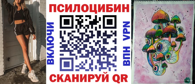 Псилоцибиновые грибы Psilocybe  это какой сайт  Лениногорск 